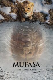 Mufasa The Lion King Movie Full Movie in Hindi