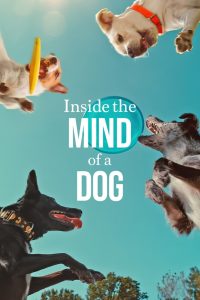 Inside the Mind of a Dog